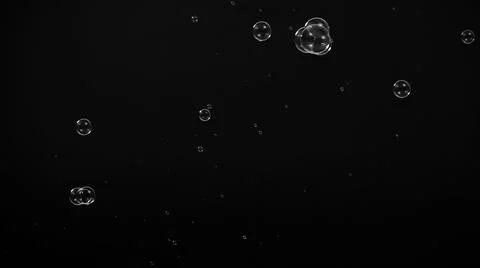 Soap bubble drop or Shampoo bubbles floating like flying in the air Stock Photos