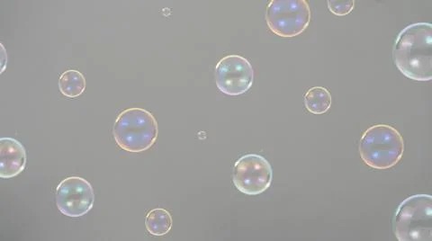 Soap bubble drop or Shampoo bubbles floating like flying in the air Stock Photos