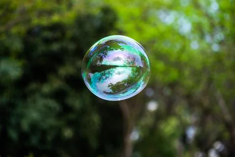Soap bubble floating with trees in the background 写真素材
