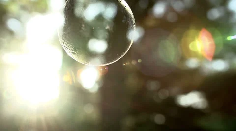 Soap Bubble Stock-Footage 39640016