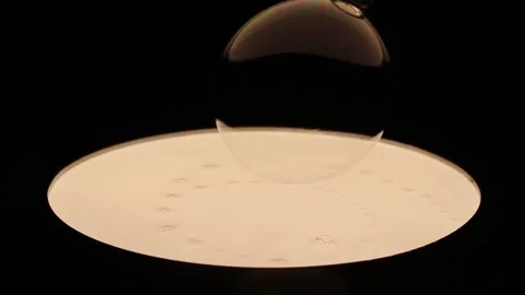 A Soap bubble Stock Footage 115049058