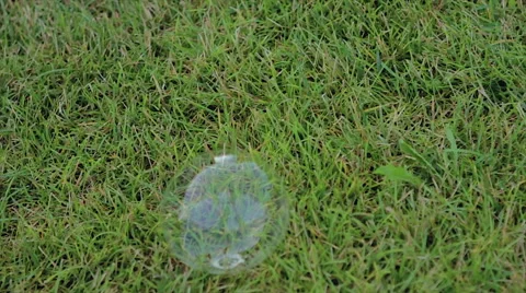 Soap Bubble on Green Lawn Stock Footage 64747789