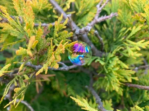 Soap bubble Stock Photos
