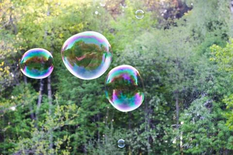 Soap bubble with the reflection on green background. Foto stock