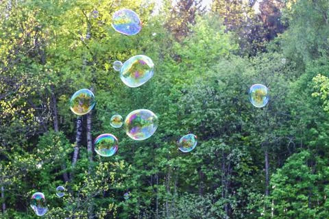 Soap bubble with the reflection on green background. Stock Photos