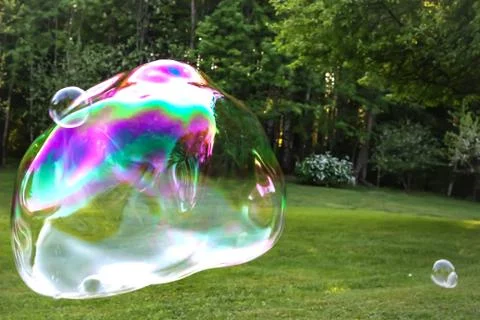 Soap bubble with the reflection on green background. Stock Photos