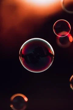 Soap bubble at sunset Stock Photos