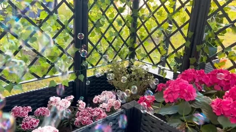 Soap bubbles against a background of flowers Stock Footage 333923547