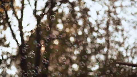 Soap Bubbles in Air Trees Blurred background Vídeo Stock 127626406