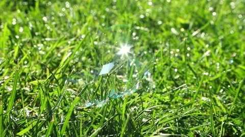 Soap bubbles and dew drops on green grass Video stock 316845391