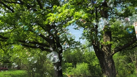 Soap bubbles are flying against background trees in the forest in summer Stock Footage 138209570