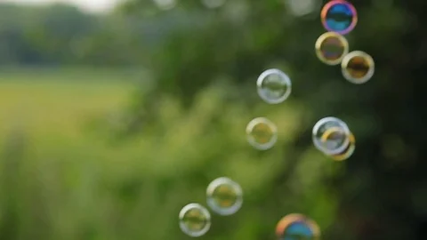 Soap bubbles are flying off the trees in the forest in summer Stock Footage 78528914