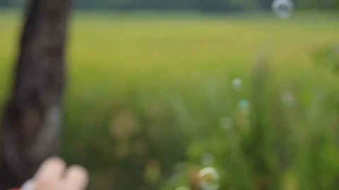 Soap bubbles are flying off the trees in the forest in summer Stock Footage 78529324