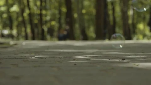 Soap bubbles on the background of the forest, the filming shows how bubbles f Stock-Footage 154563817