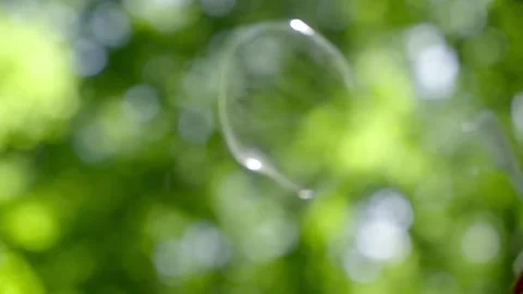 Soap bubbles on the background of the forest, the filming shows how the bubbl Stock Footage 154563818