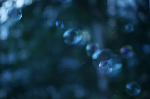 Soap bubbles in the evening Stock Photos