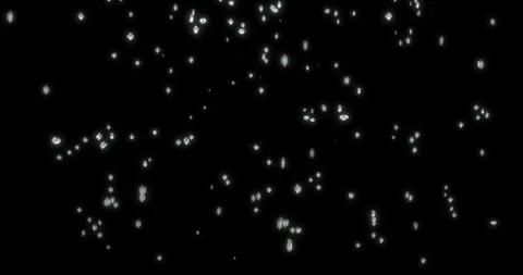 Soap bubbles explode on black screen background Stock Footage 320675765