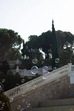 Soap bubbles floating in the air over the staircase in the park full of lush tre Fotos Stock