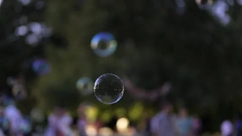 Soap bubbles floating gracefully at an evening garden party Stock Footage 343494987