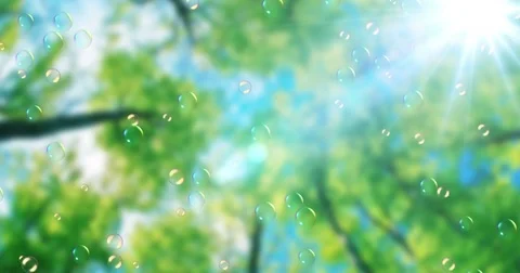 Soap bubbles floating on green nature background under blue sky with sun ray Stock Footage 73888476