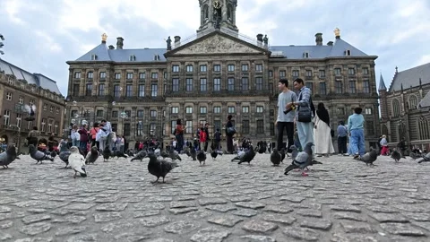 Soap bubbles floating over Dam Square with pigeons and Palace Stock Footage 345726878