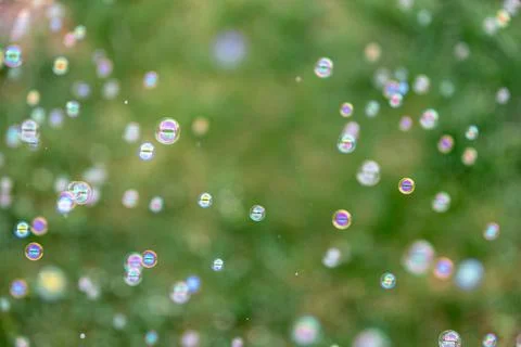 Soap bubbles floating over green background. Colorful outdoor backdrop for .. Stock Photos