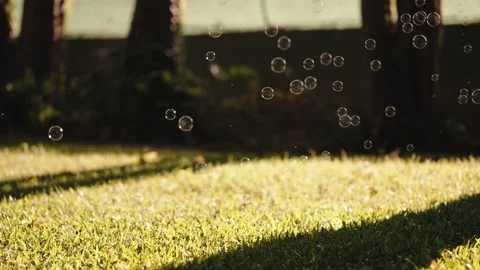 Soap Bubbles Floating Over Lawn in Garden Vídeo Stock 346498316