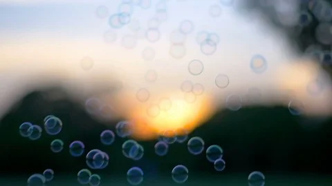 Soap bubbles floating in sunset at green park, slow motion Stock Footage 79513891