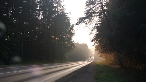 Soap-bubbles fly along the forest road, peaceful nature, dreaming time Stock Footage 101778664