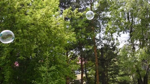Soap bubbles fly on the background of trees Stock Footage 120291567