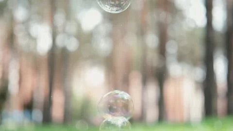 Soap bubbles fly on a blurred background Stock Footage 156519304