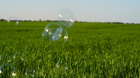 Soap bubbles flying outdoor Stock Footage 61253503