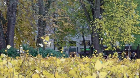 Soap bubbles flying in slowmotion during fall in Oslo Norway Stock Footage 264163521