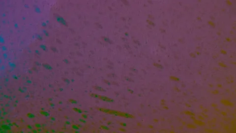 Soap bubbles, foam, close-up in rainbow light Stock Footage 148976980
