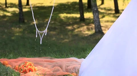 Soap Bubbles Stock Footage 52686273