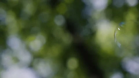 Soap bubbles on forest background, summer holiday theme Stock Footage 154563744