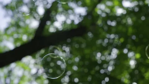 Soap bubbles on forest background, summer holiday theme Stock-Footage 154563754