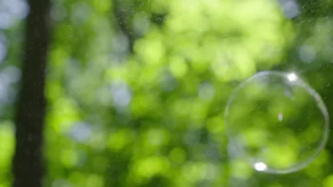 Soap bubbles on forest background, summer holiday theme Stock Footage 154563759