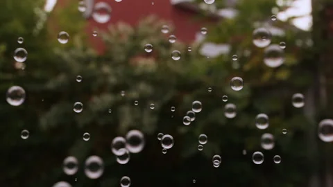 Soap Bubbles in the Garden 스톡 동영상 194766771