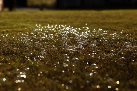 Soap bubbles on the grass. selective focus. Stock Photos