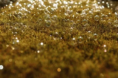 Soap bubbles on the grass. selective focus. Stock Photos