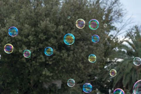 Soap bubbles on green background Stock Photos