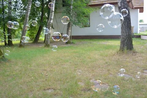 Soap bubbles in nature	 Stock Photos