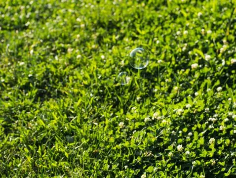 Soap bubbles in nature Stock Photos