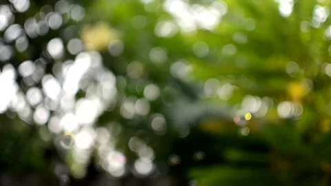 Soap Bubbles outdoor 库存影片 108078584