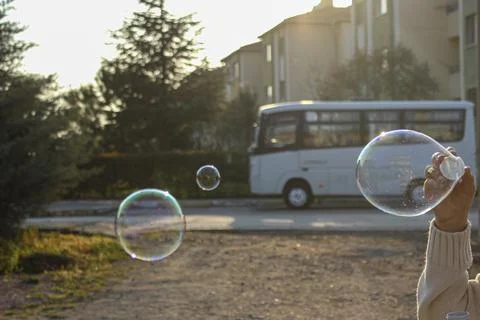Soap bubbles in the park 库存照片