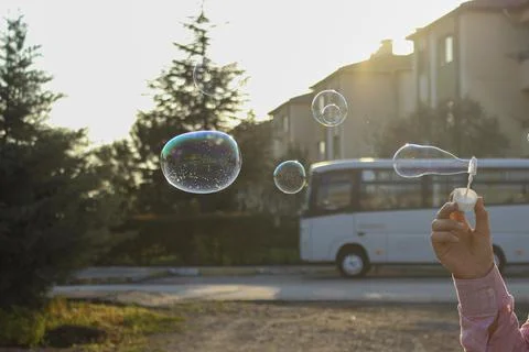 Soap bubbles in the park 库存照片