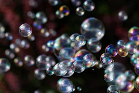 Soap bubbles Stock Photos