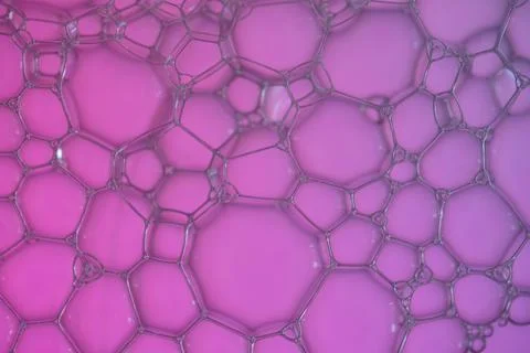 Soap bubbles Stock Photos