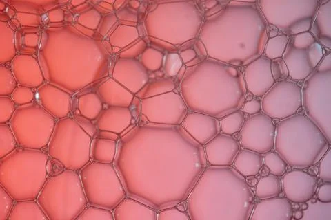 Soap bubbles Stock Photos